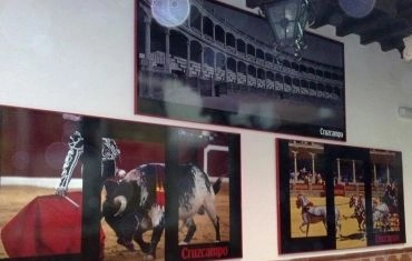 Decoración integral